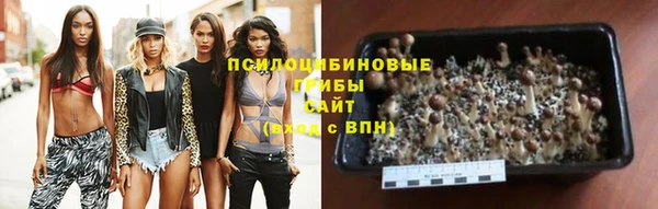 гидропоника Дмитровск
