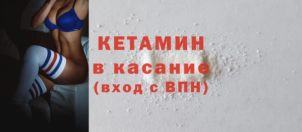 шишки Дмитриев