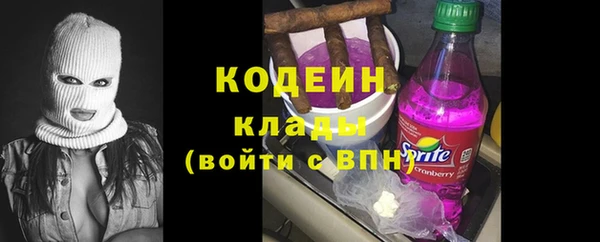 шишки Дмитриев
