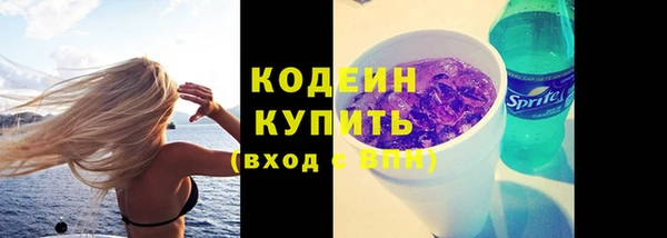 шишки Дмитриев