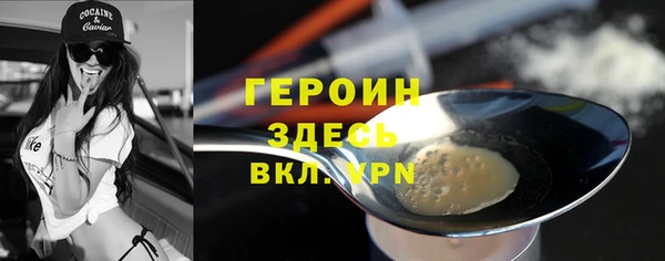 шишки Дмитриев