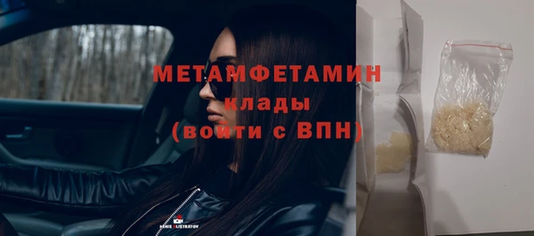 шишки Дмитриев