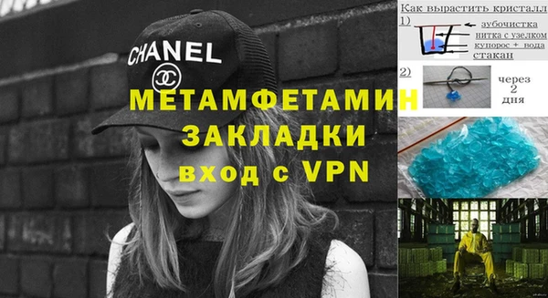 шишки Дмитриев