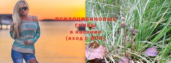 шишки Дмитриев