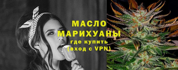 шишки Дмитриев