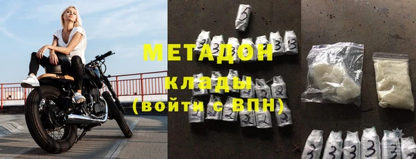 шишки Дмитриев