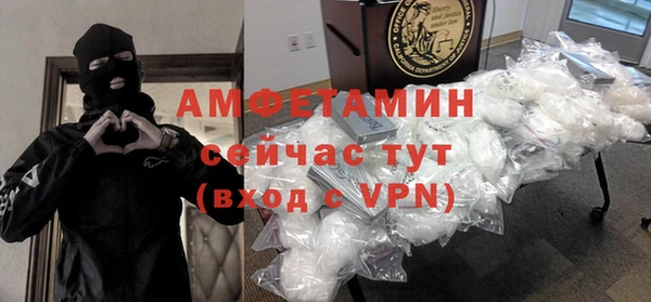 шишки Дмитриев