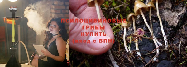 шишки Дмитриев