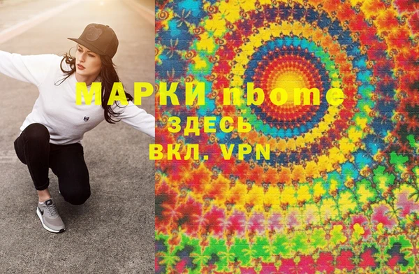 шишки Дмитриев