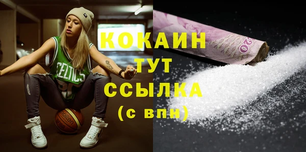 шишки Дмитриев