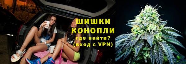 шишки Дмитриев