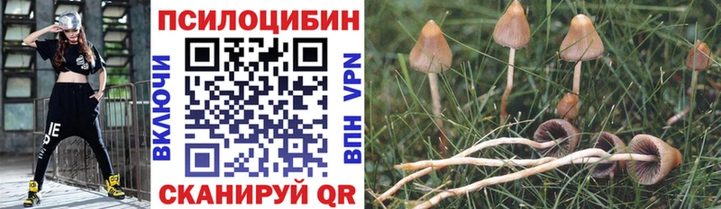 мориарти Telegram  Димитровград  Псилоцибиновые грибы мухоморы  наркотики 